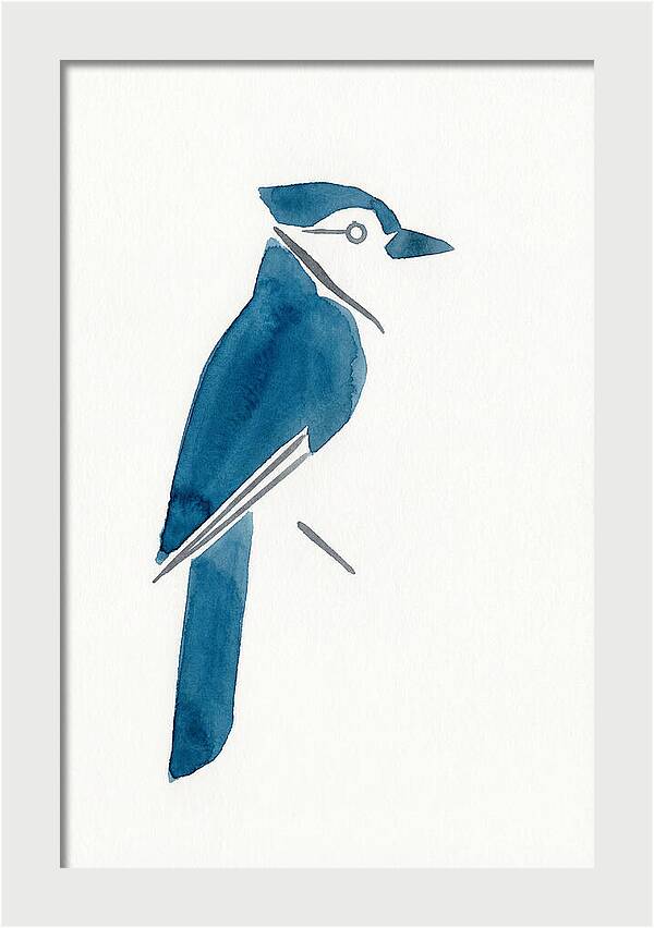 Blue Jay Silhouette