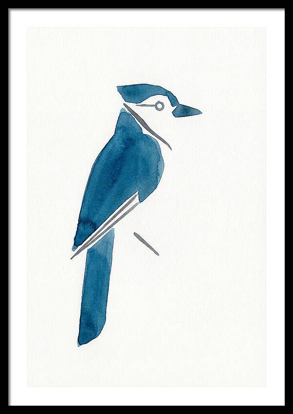 Blue Jay Silhouette