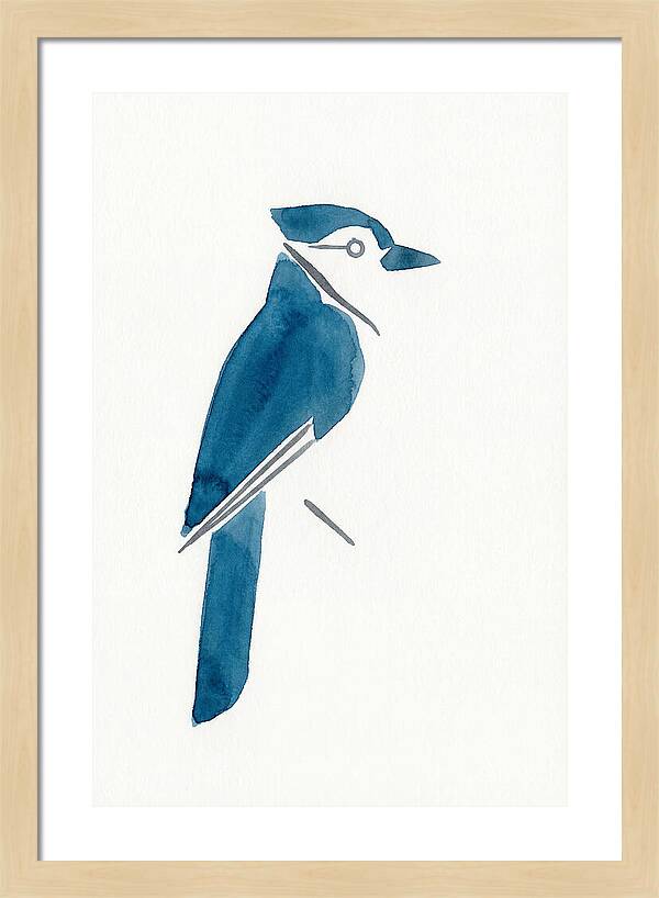 Blue Jay Silhouette