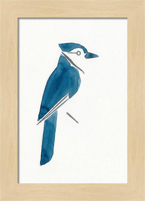 Blue Jay Silhouette