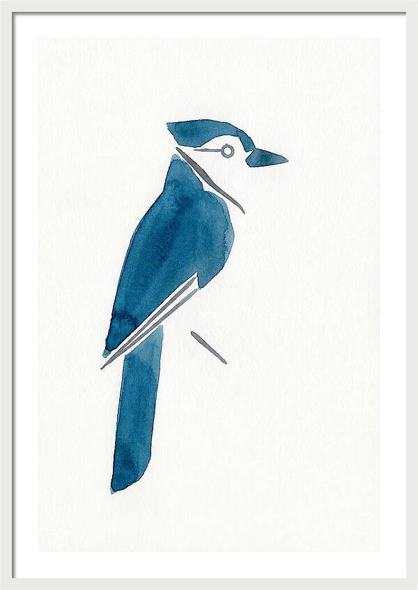Blue Jay Silhouette