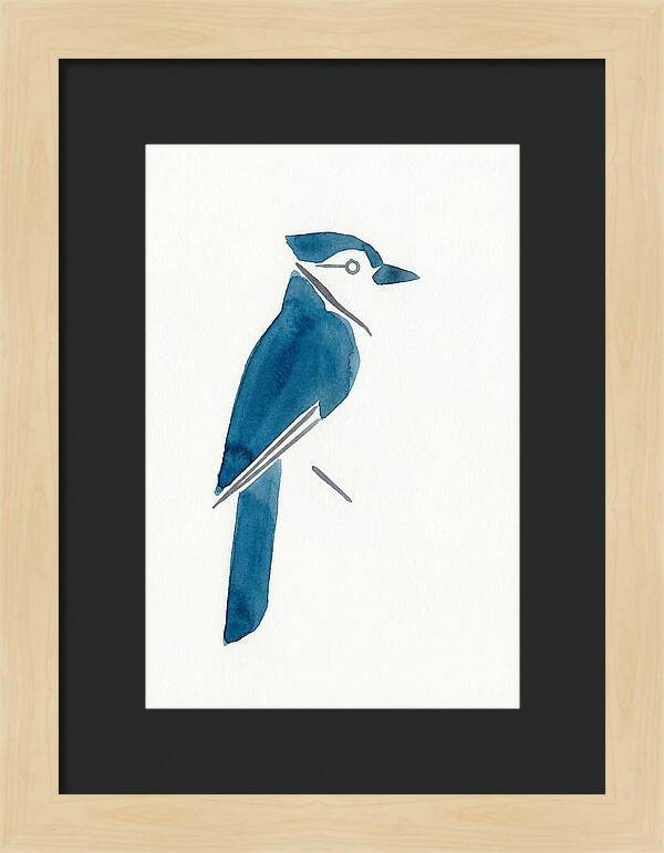 Blue Jay Silhouette
