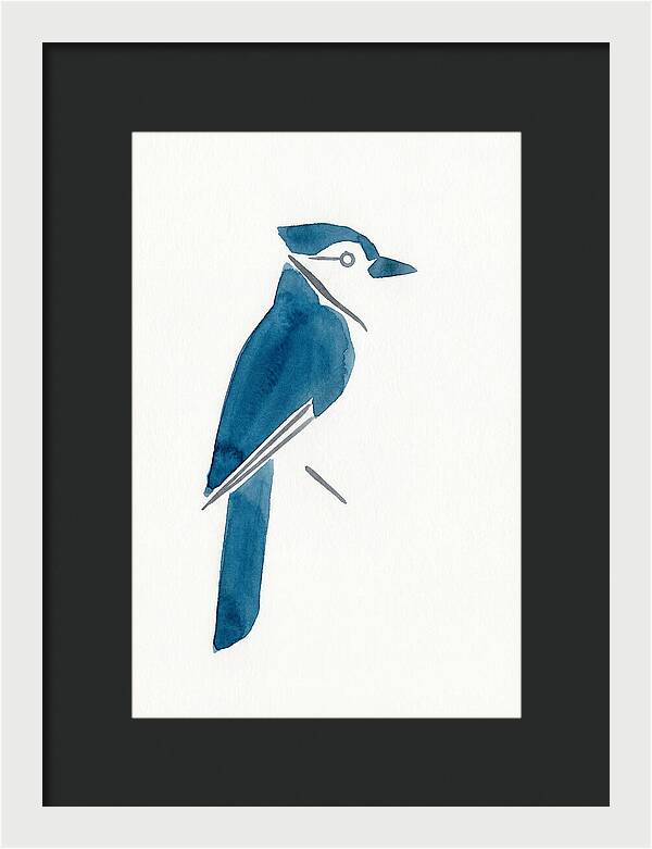 Blue Jay Silhouette