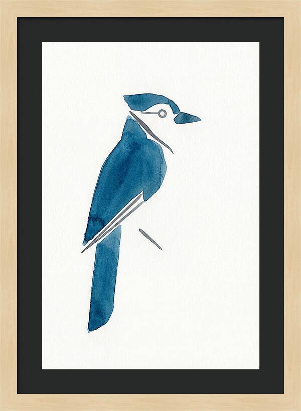 Blue Jay Silhouette
