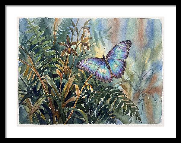 Blue Morpho Butterfly Among Ferns