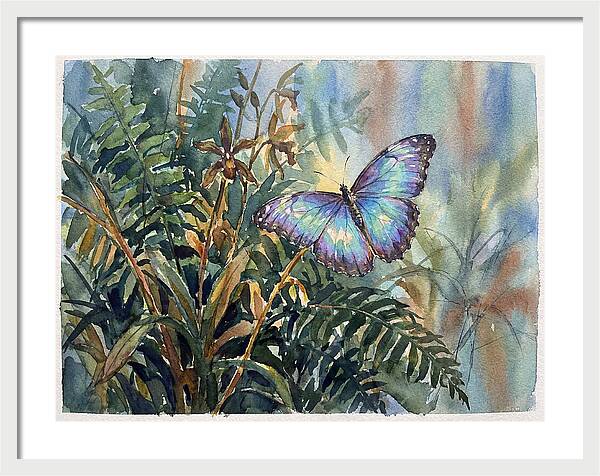 Blue Morpho Butterfly Among Ferns