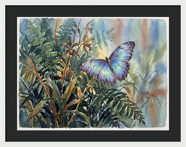 Blue Morpho Butterfly Among Ferns
