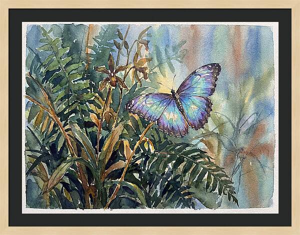 Blue Morpho Butterfly Among Ferns