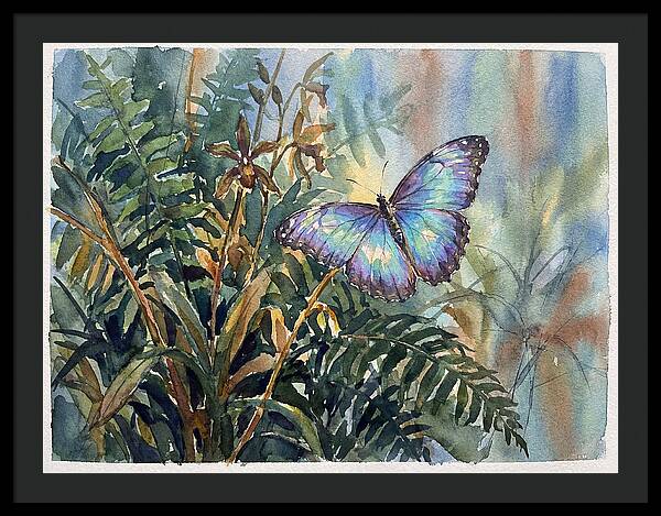 Blue Morpho Butterfly Among Ferns