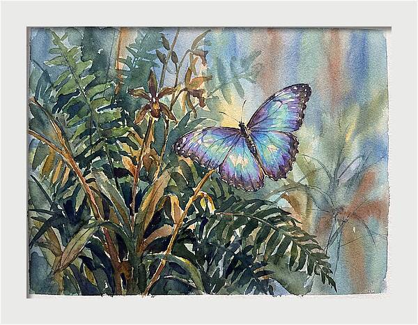 Blue Morpho Butterfly Among Ferns
