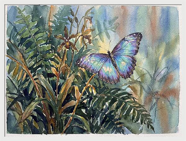Blue Morpho Butterfly Among Ferns