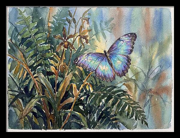 Blue Morpho Butterfly Among Ferns