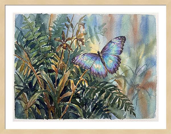 Blue Morpho Butterfly Among Ferns