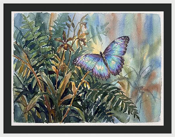 Blue Morpho Butterfly Among Ferns
