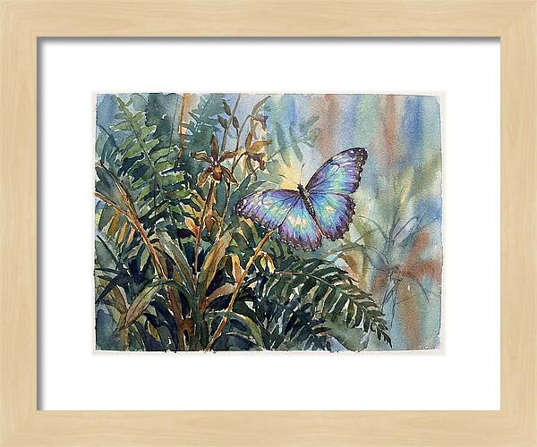 Blue Morpho Butterfly Among Ferns