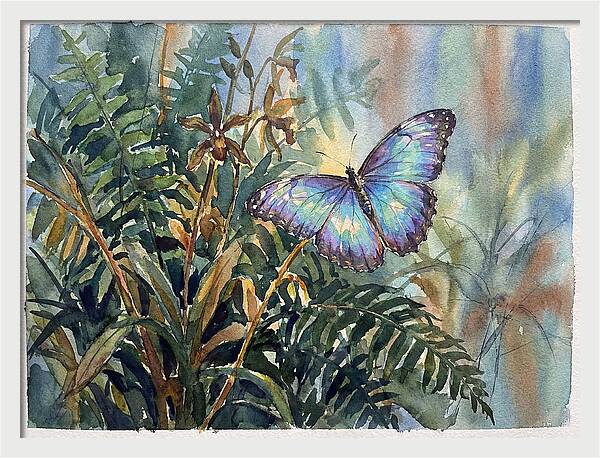 Blue Morpho Butterfly Among Ferns