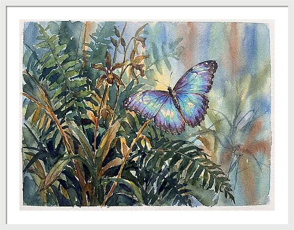 Blue Morpho Butterfly Among Ferns