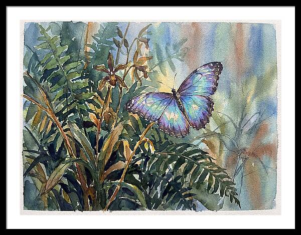 Blue Morpho Butterfly Among Ferns