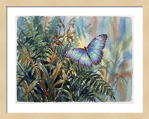 Blue Morpho Butterfly Among Ferns
