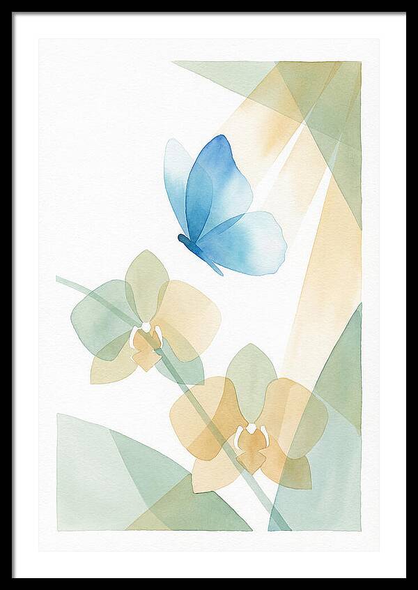 Blue Morpho Butterfly Elegance