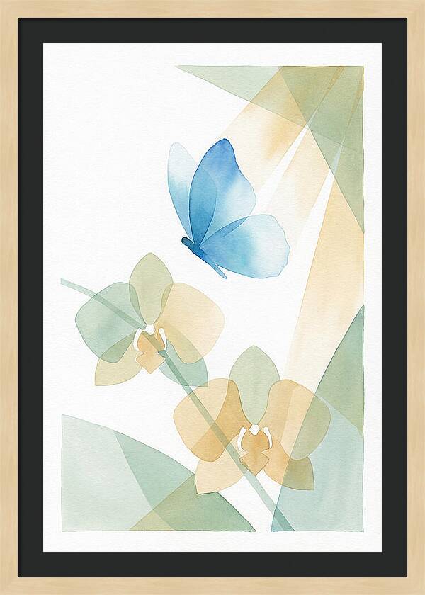 Blue Morpho Butterfly Elegance