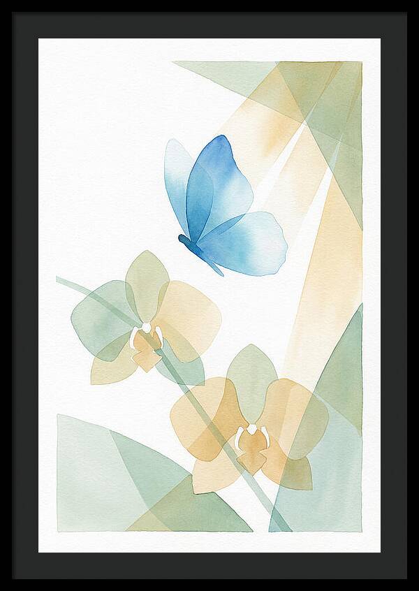 Blue Morpho Butterfly Elegance