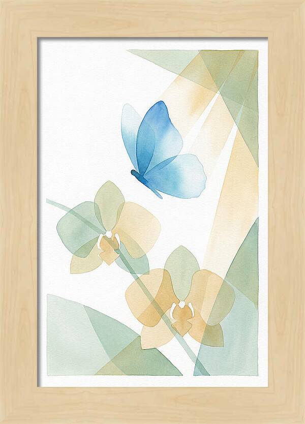 Blue Morpho Butterfly Elegance