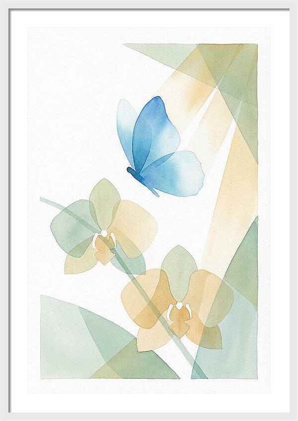 Blue Morpho Butterfly Elegance