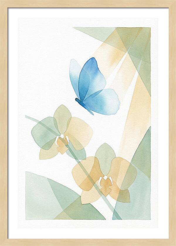Blue Morpho Butterfly Elegance