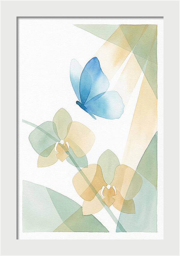 Blue Morpho Butterfly Elegance