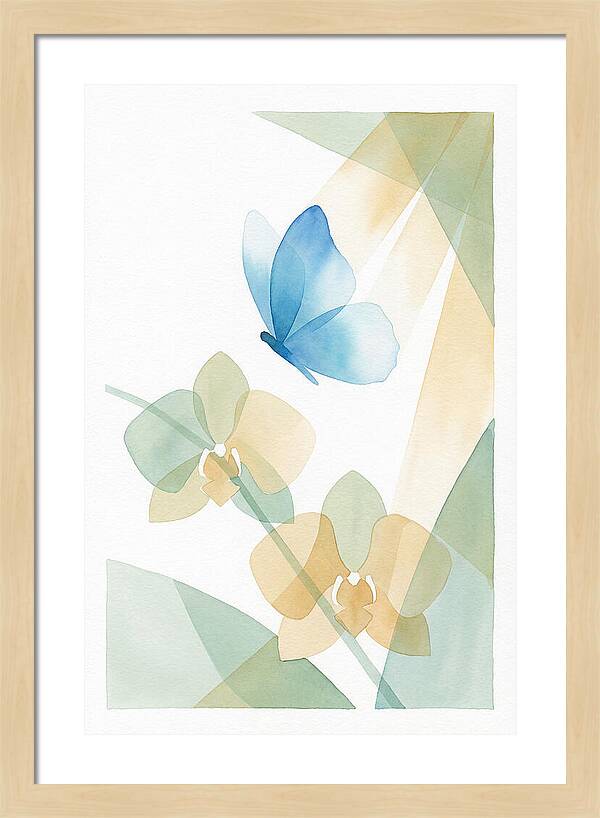 Blue Morpho Butterfly Elegance