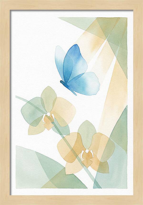 Blue Morpho Butterfly Elegance
