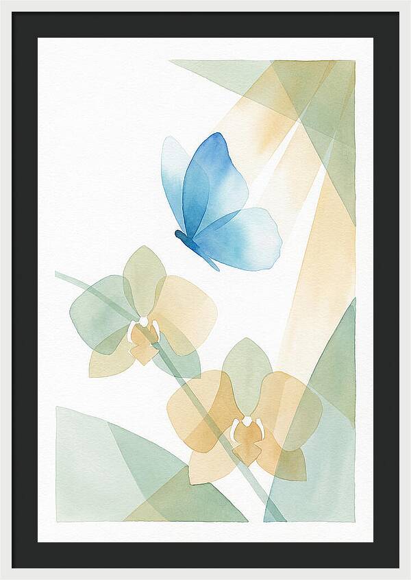 Blue Morpho Butterfly Elegance