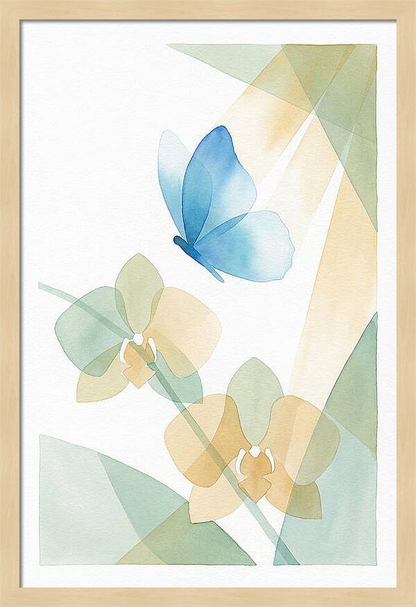 Blue Morpho Butterfly Elegance