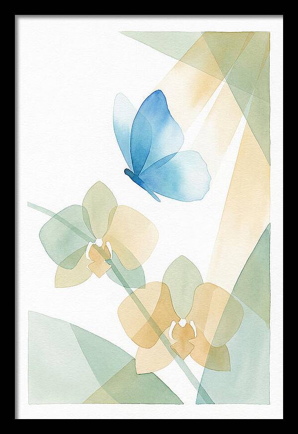 Blue Morpho Butterfly Elegance