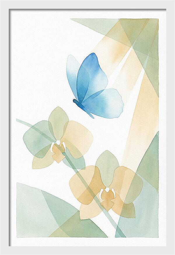 Blue Morpho Butterfly Elegance