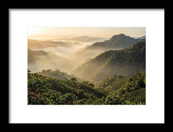 Blue Mountains At Sunrise