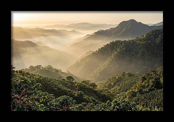 Blue Mountains At Sunrise