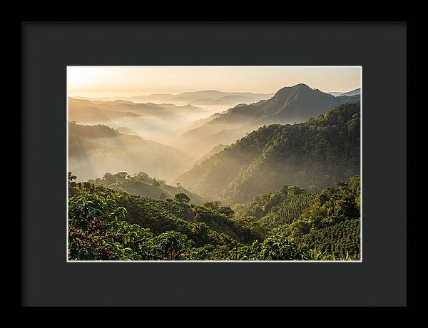 Blue Mountains At Sunrise