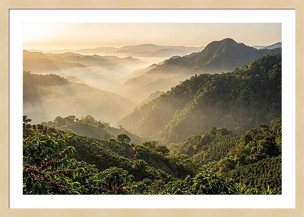 Blue Mountains At Sunrise