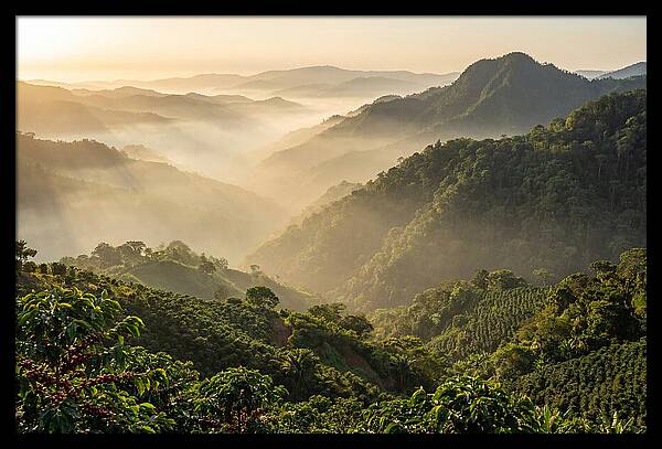Blue Mountains At Sunrise