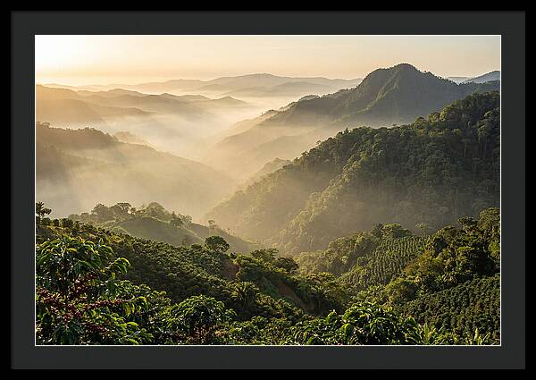 Blue Mountains At Sunrise