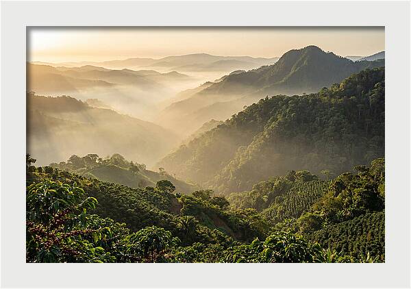 Blue Mountains At Sunrise