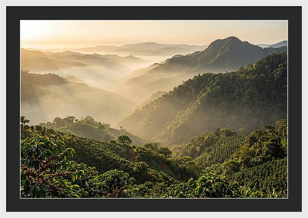 Blue Mountains At Sunrise
