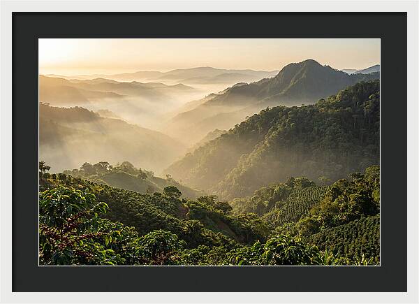 Blue Mountains At Sunrise
