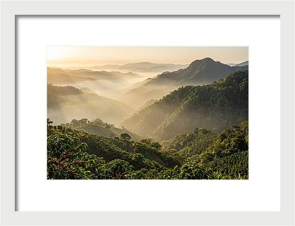 Blue Mountains At Sunrise