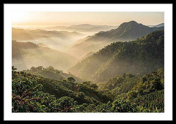 Blue Mountains At Sunrise