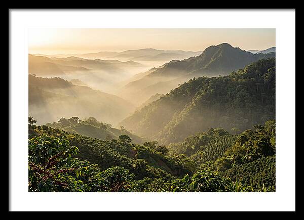 Blue Mountains At Sunrise
