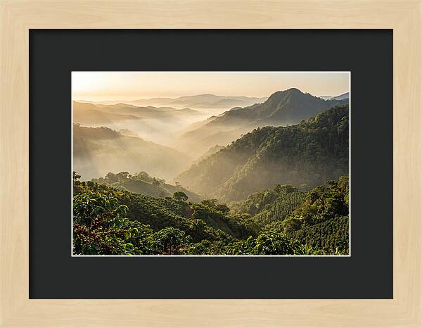 Blue Mountains At Sunrise