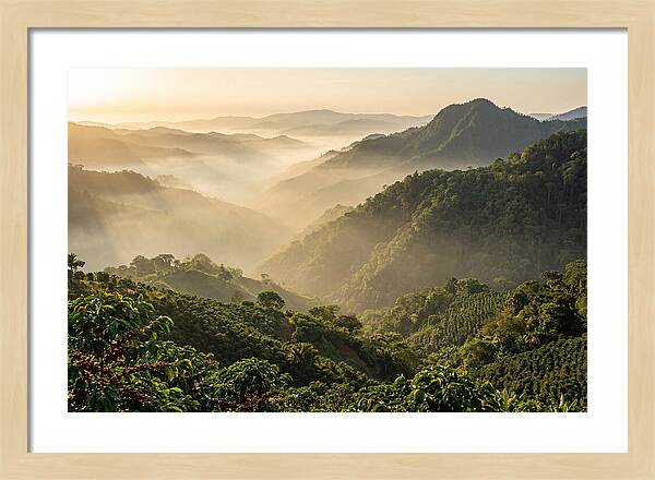 Blue Mountains At Sunrise